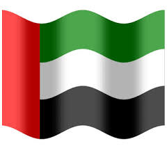 الإمارات تستأنف عمل سفارتها لدى اليمن في عدن وتؤكد رفضها المطلق لـ 